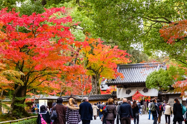 金閣寺参道の紅葉