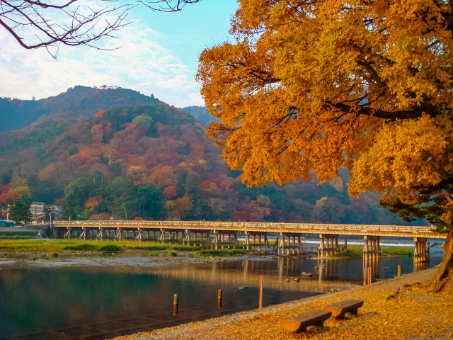 秋の渡月橋