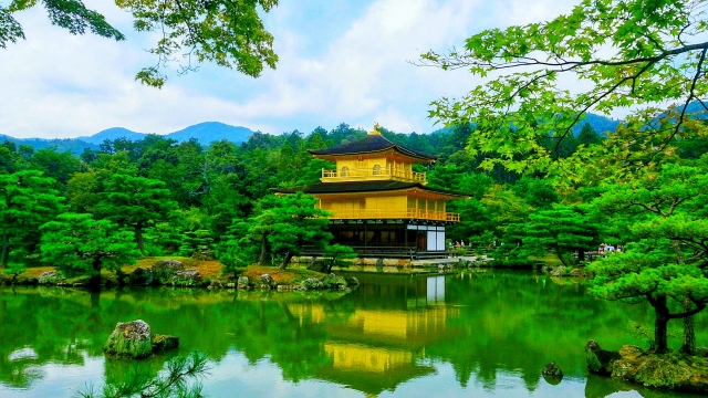 深緑の金閣寺