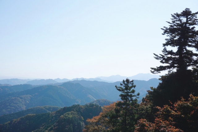 高尾山からの景色