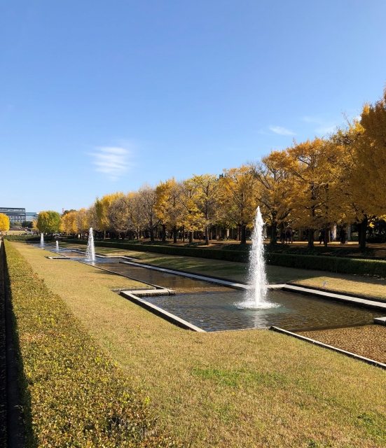 昭和記念公園カナール