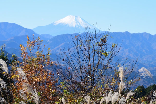 高尾山から富士山を望む