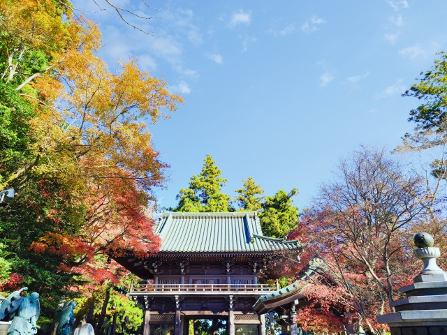 高尾山　薬王院の紅葉