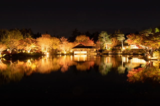 昭和記念公園 ライトアップ