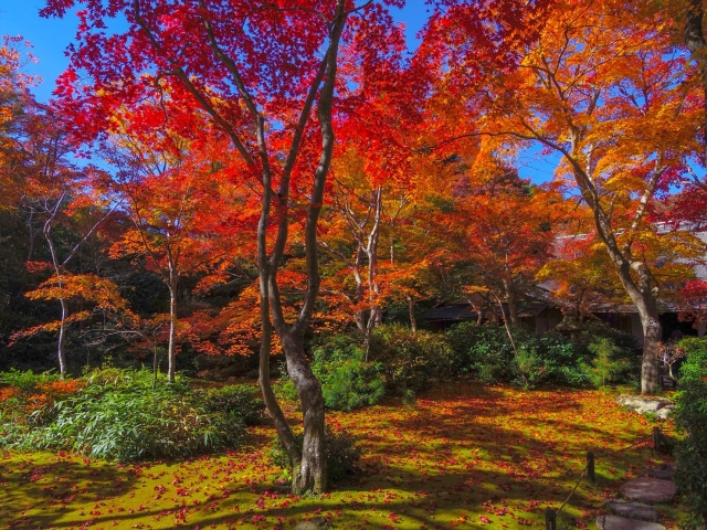 大河内山荘庭園の紅葉