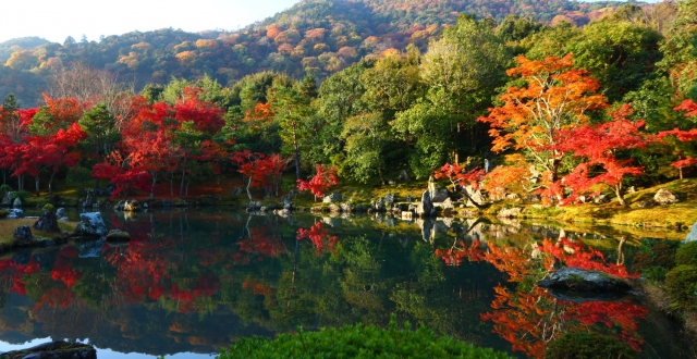 京都嵐山天龍寺秋の風景